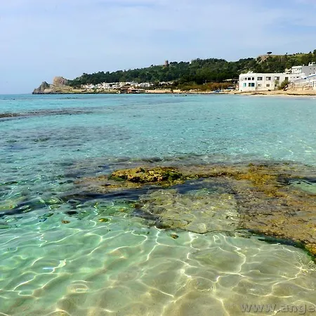 Sole E Glicine 산니콜라