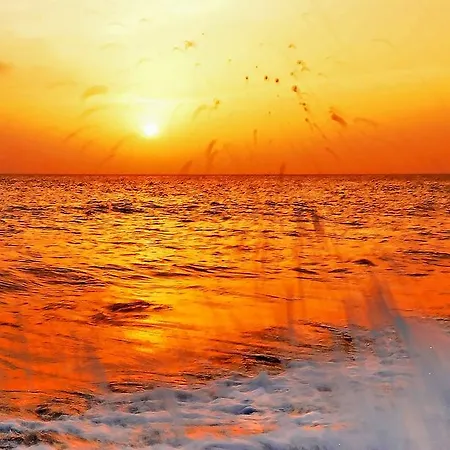 Sole E Glicine * 산니콜라